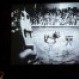 DARK CIRCUS