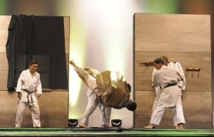 TRIOMPHE-UNE-VIE-DE-JUDO-